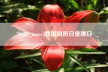 南城我国消防日是哪日