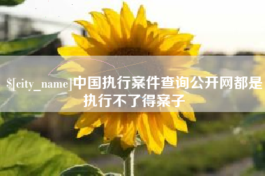 南城中国执行案件查询公开网都是执行不了得案子