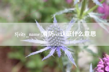 南城消防ccc认证什么意思