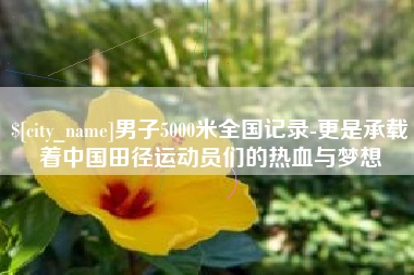 南城男子5000米全国记录-更是承载着中国田径运动员们的热血与梦想