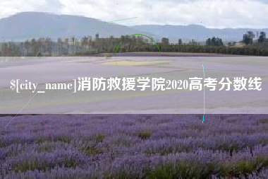 南城消防救援学院2020高考分数线