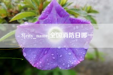 南城全国消防日哪一