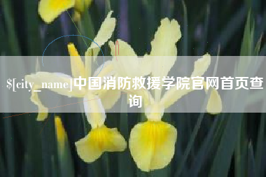 南城中国消防救援学院官网首页查询