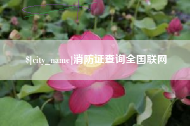 南城消防证查询全国联网