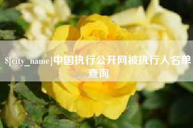 南城中国执行公开网被执行人名单查询