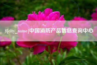 南城中国消防产品信息查询中心