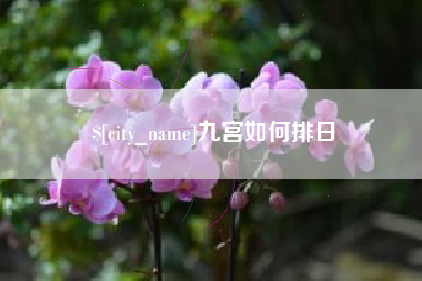 南城九宫如何排日