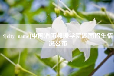 南城中国消防救援学院湖南招生情况公布