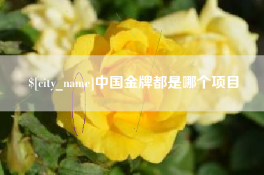 南城中国金牌都是哪个项目