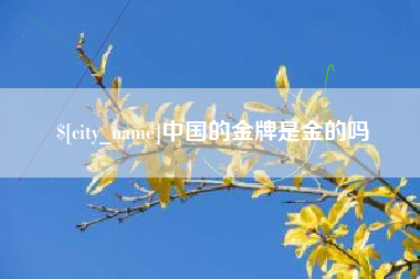 南城中国的金牌是金的吗