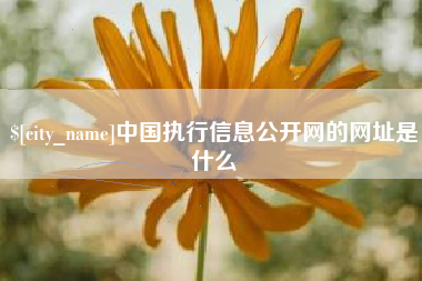 南城中国执行信息公开网的网址是什么