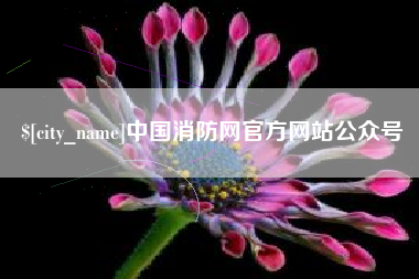 南城中国消防网官方网站公众号