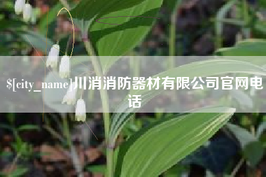 南城川消消防器材有限公司官网电话