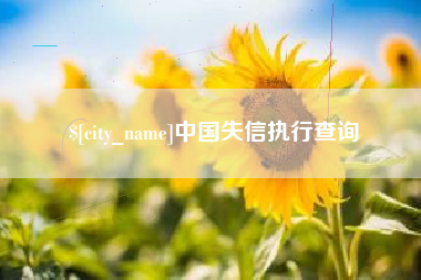 南城中国失信执行查询