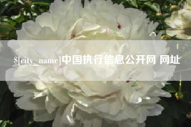 南城中国执行信息公开网 网址