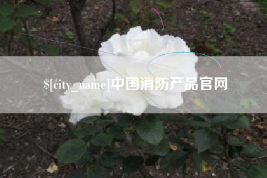 南城中国消防产品官网