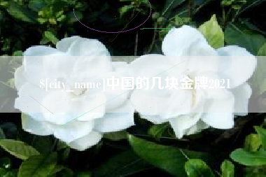 南城中国的几块金牌2021