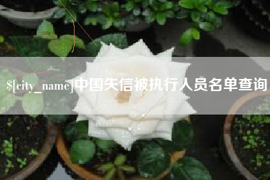 南城中国失信被执行人员名单查询