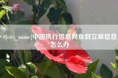 南城中国执行信息网查到立案信息怎么办