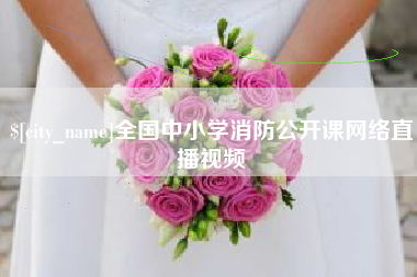 南城全国中小学消防公开课网络直播视频