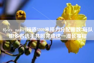 南城短道5000米接力分配圈数-每队由多名选手共同完成这一漫长赛程