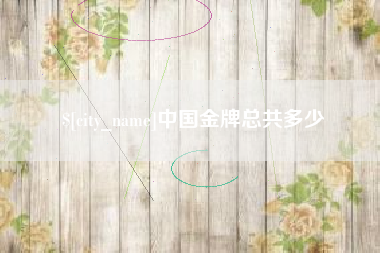 南城中国金牌总共多少