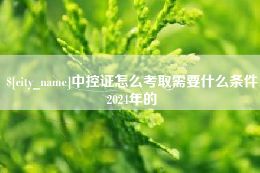 南城中控证怎么考取需要什么条件2024年的