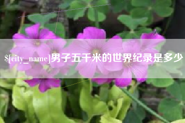 南城男子五千米的世界纪录是多少