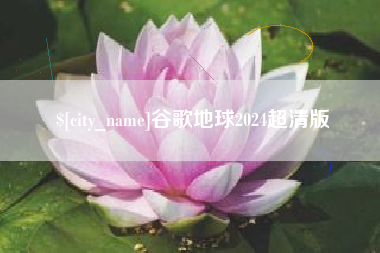 南城谷歌地球2024超清版