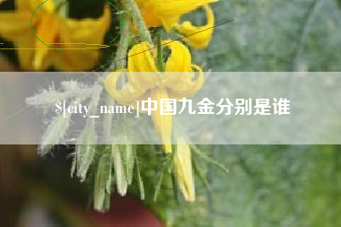南城中国九金分别是谁