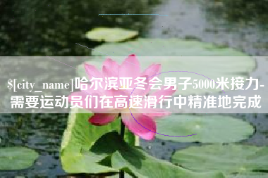南城哈尔滨亚冬会男子5000米接力-需要运动员们在高速滑行中精准地完成