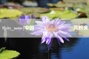南城中国🇨🇳几枚金牌