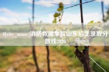 南城消防救援学院山东招生录取分数线2020