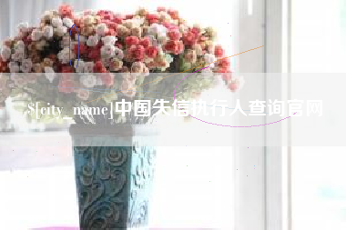 南城中国失信执行人查询官网