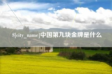 南城中国第九块金牌是什么