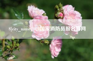 南城2021国家消防员报名官网