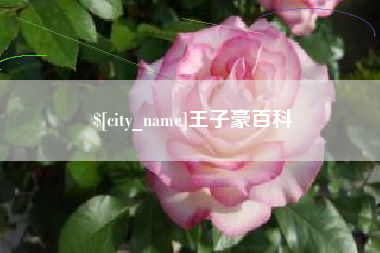 南城王子豪百科