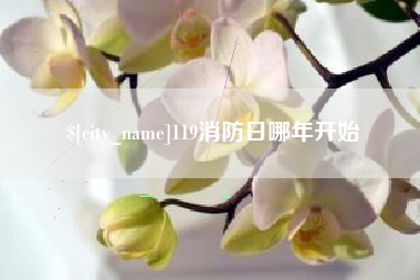 南城119消防日哪年开始