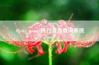 南城执行公告查询系统