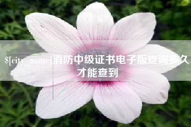 南城消防中级证书电子版查询多久才能查到