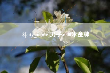 南城男子5000米金牌