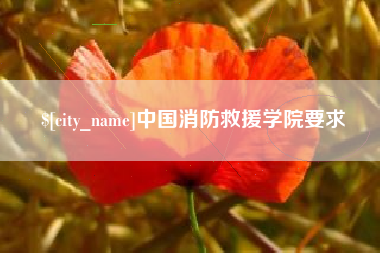 南城中国消防救援学院要求