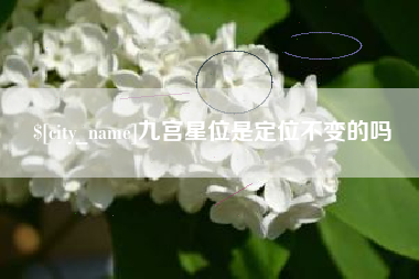 南城九宫星位是定位不变的吗