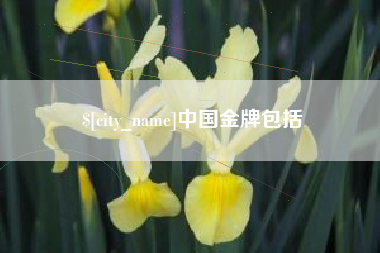 南城中国金牌包括