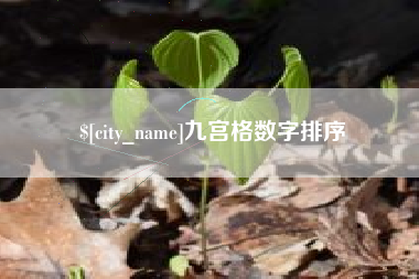 南城九宫格数字排序