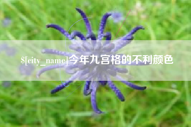 南城今年九宫格的不利颜色