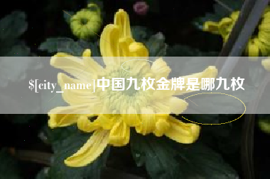 南城中国九枚金牌是哪九枚