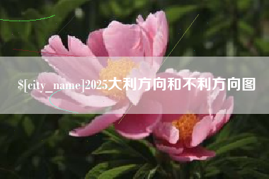 南城2025大利方向和不利方向图