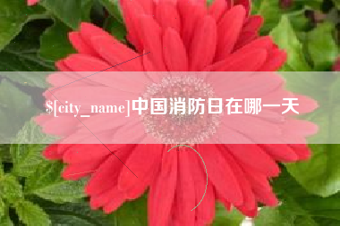 南城中国消防日在哪一天