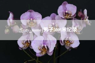 南城男子5000米纪录